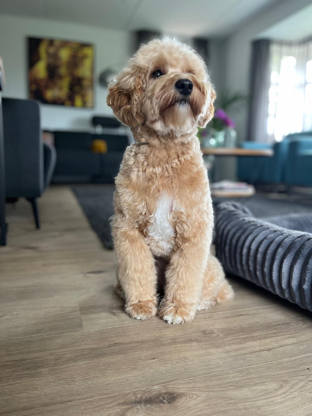Lilly, extra foto 1