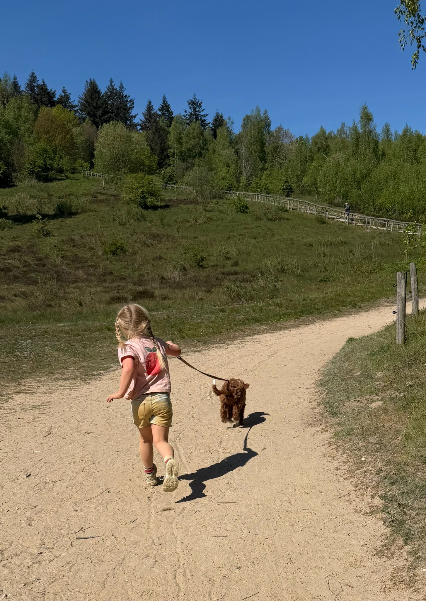 Australian Labradoodle bij zijn gezin