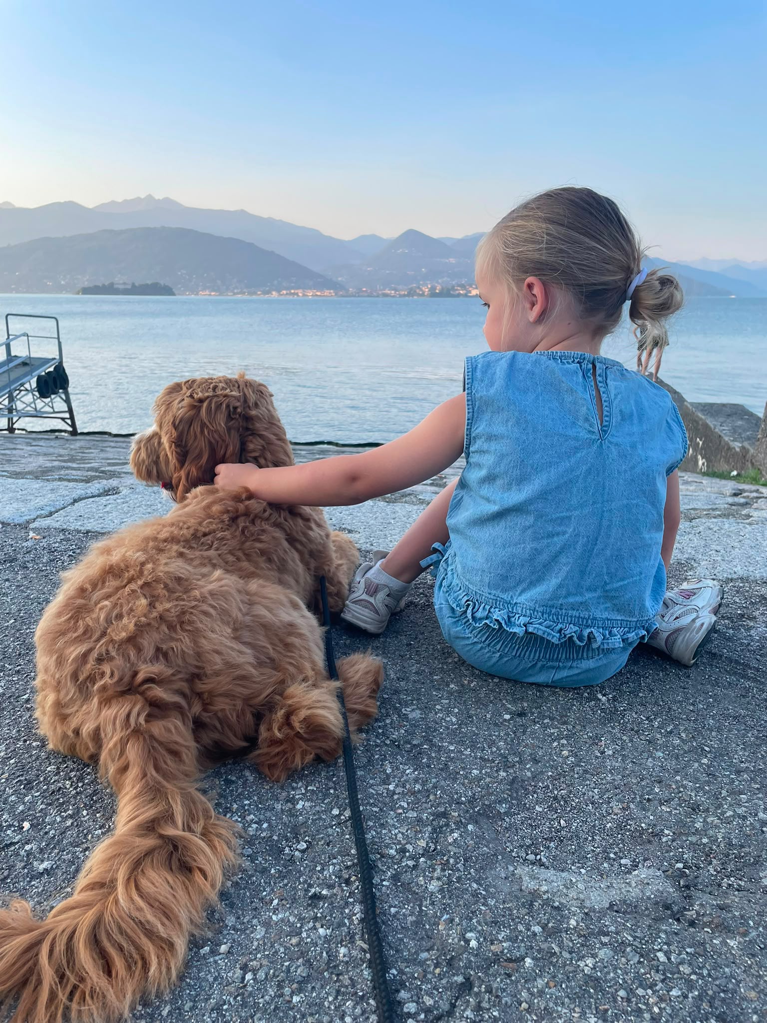 Australian Labradoodle bij zijn gezin