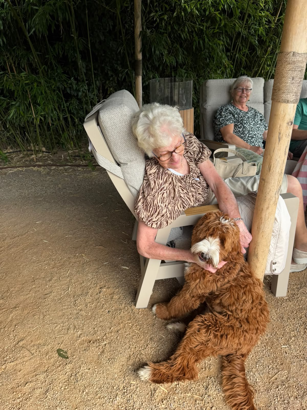 Australian Labradoodle bij zijn gezin