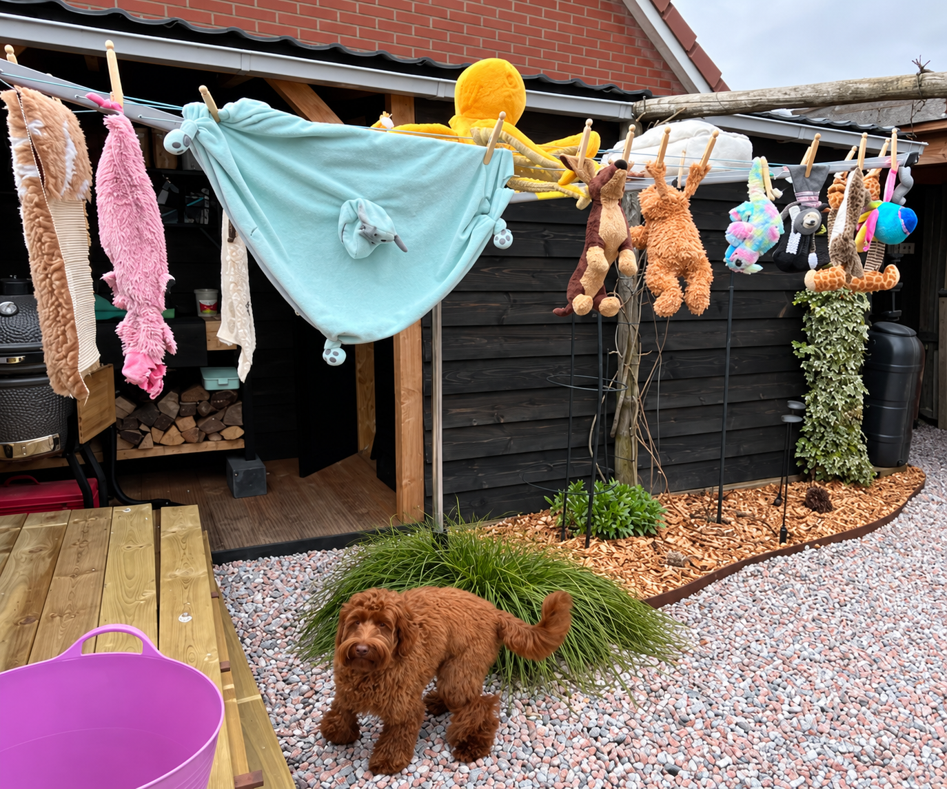 Soof bij haar knuffelcollectie die aan de waslijn hangt te drogen