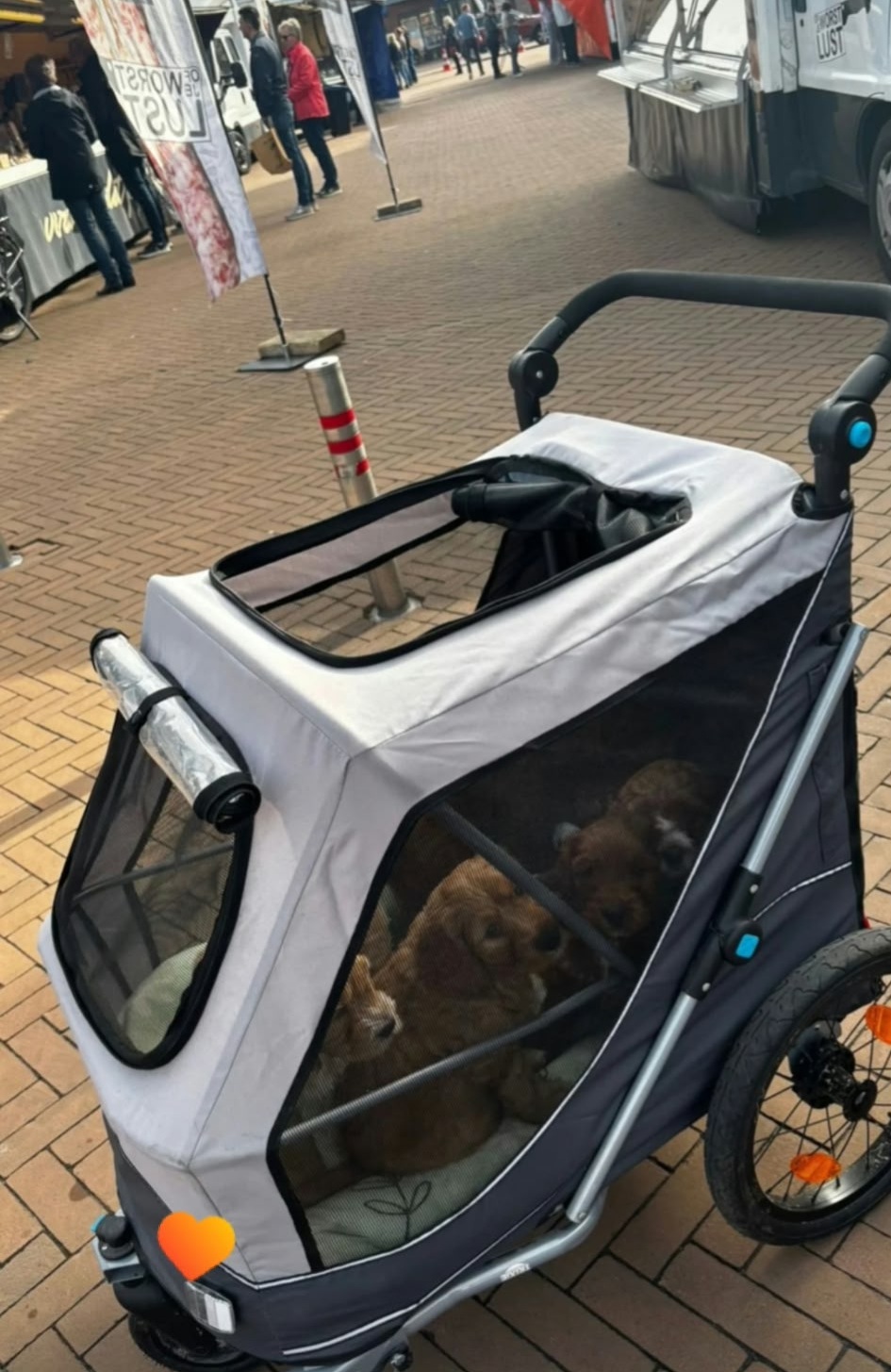 Pups samen op pad in de hondenbuggy